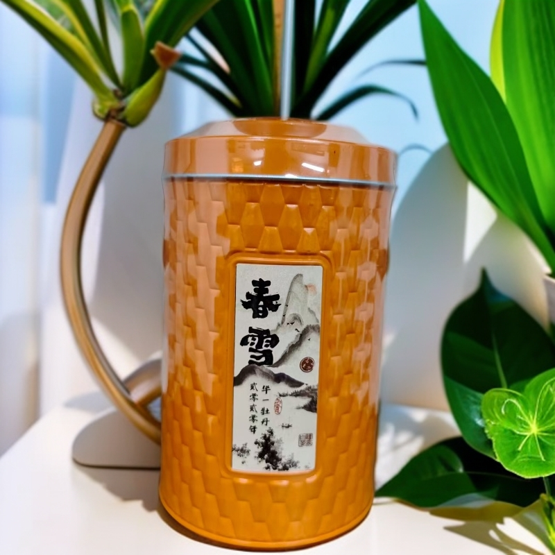 【闻江白】2020·华一牡丹·春雪