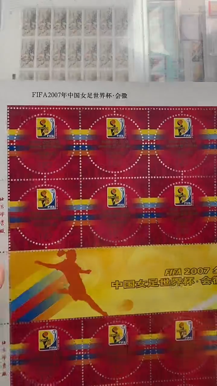 《女足世界杯会徽》 大版 CSGS评级 邮票