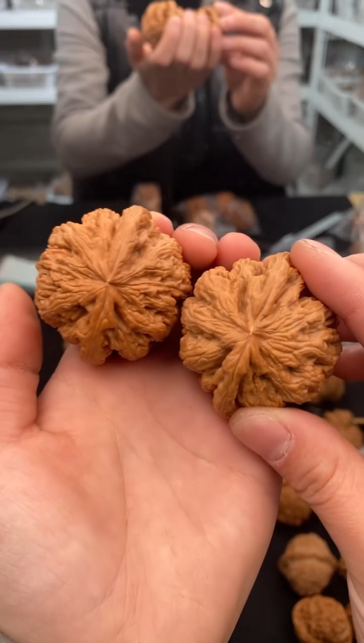 【闪购商品】文玩核桃把件肉球筋46-u149