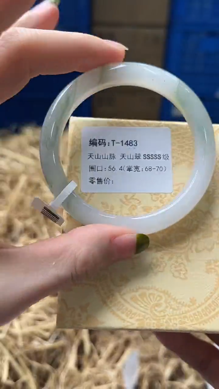 未镶嵌手镯石英质玉T1483