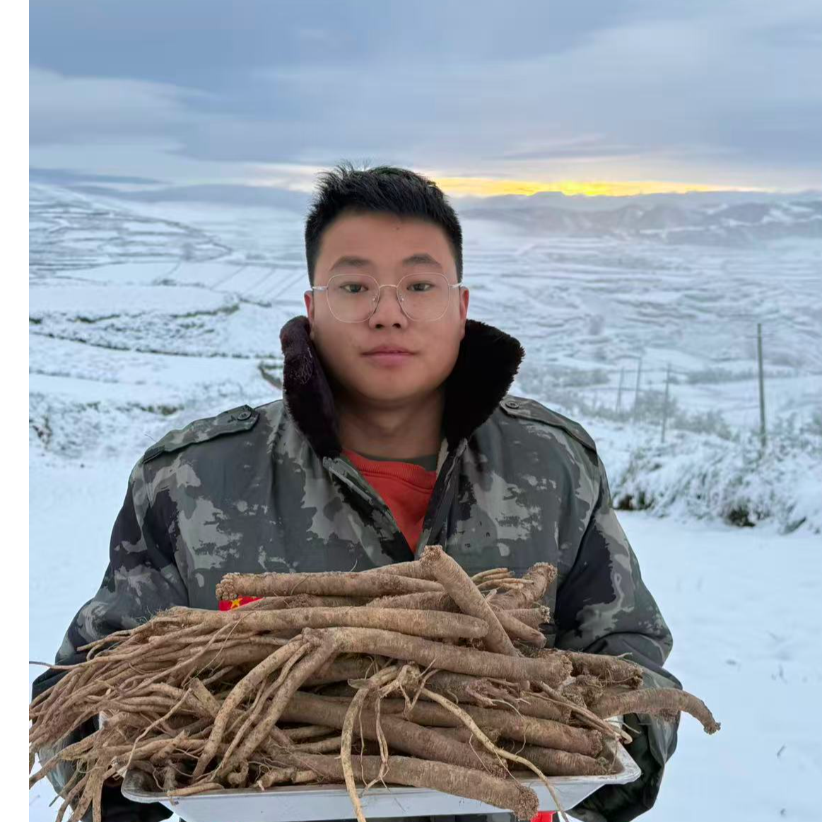 甘肃岷县老党参高原特产滋补良品