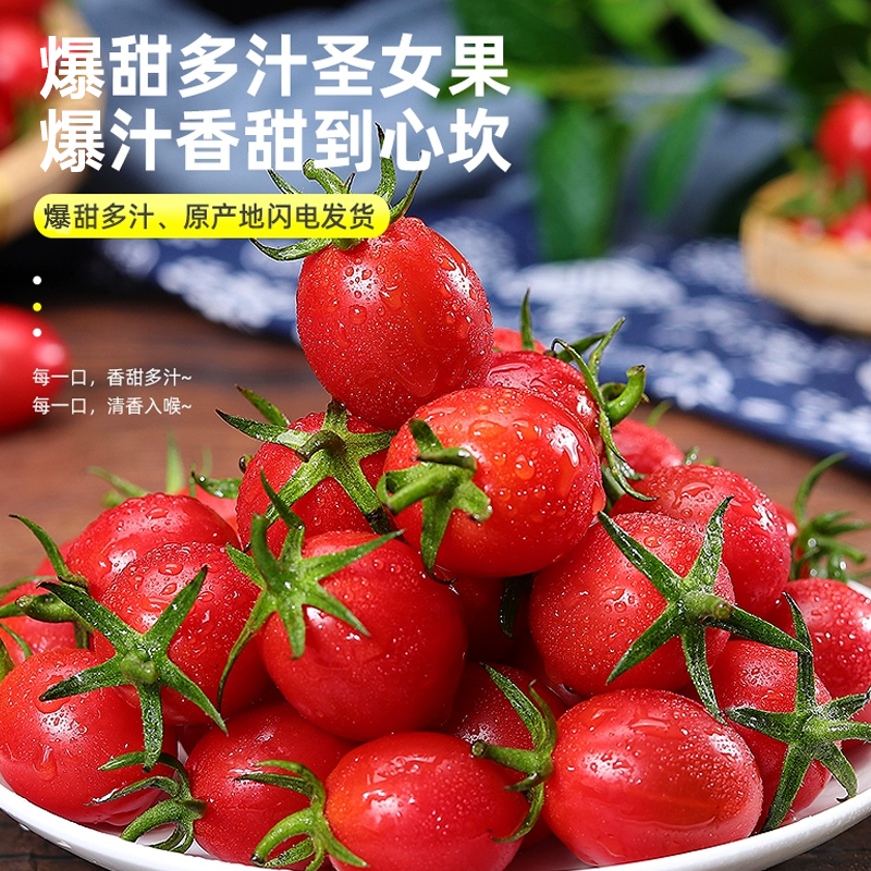 山东新鲜圣女果自然成熟酸甜可口当季水果