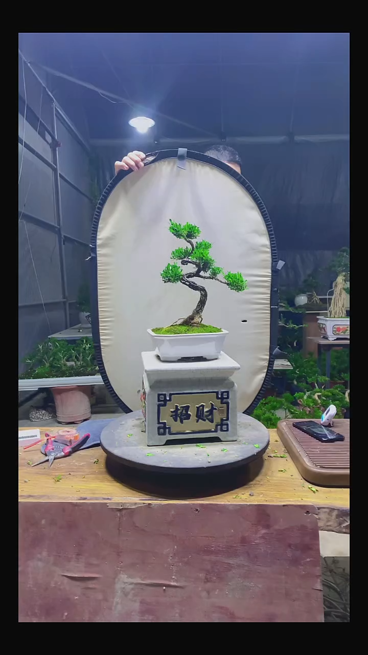 完全开放C*1111111111