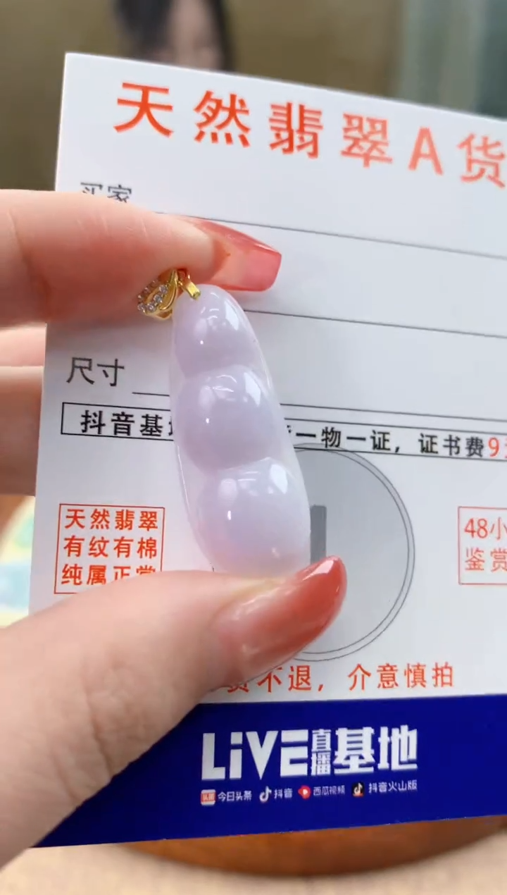 颈饰未镶嵌翡翠天然A货翡翠挂件
