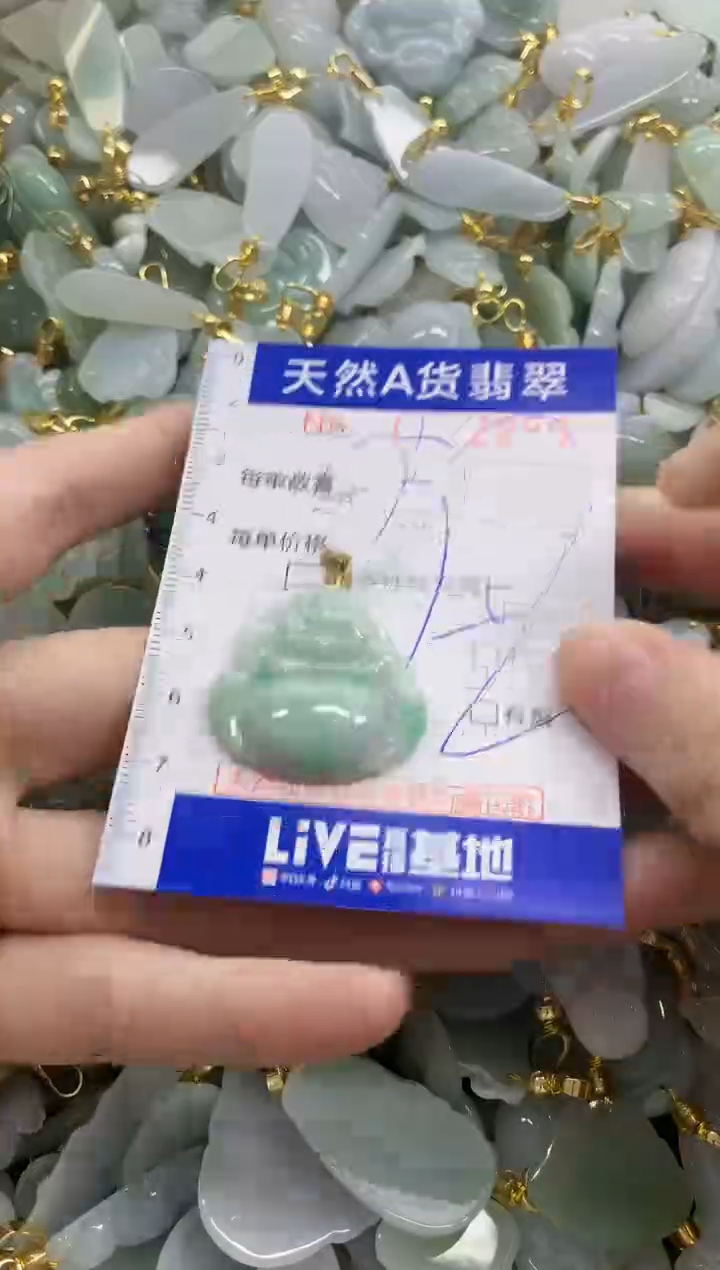颈饰未镶嵌翡翠天然A货翡翠