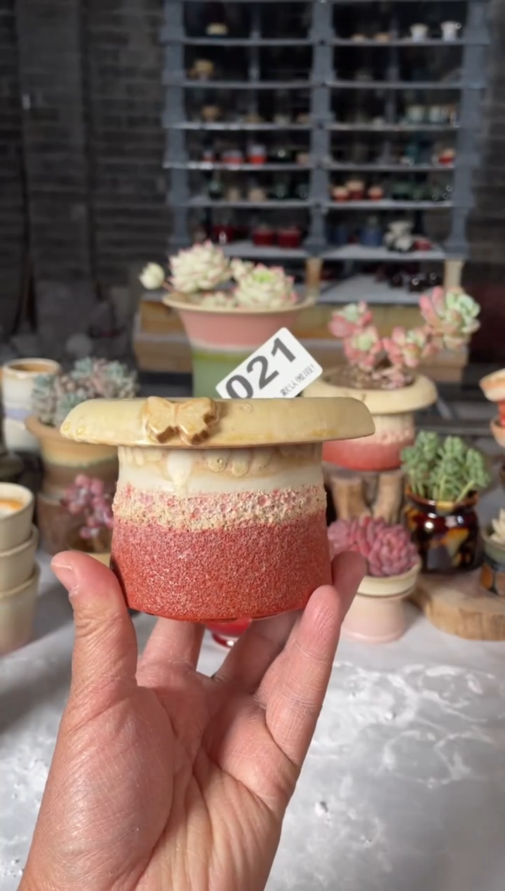 瓷片021小芳直播编号