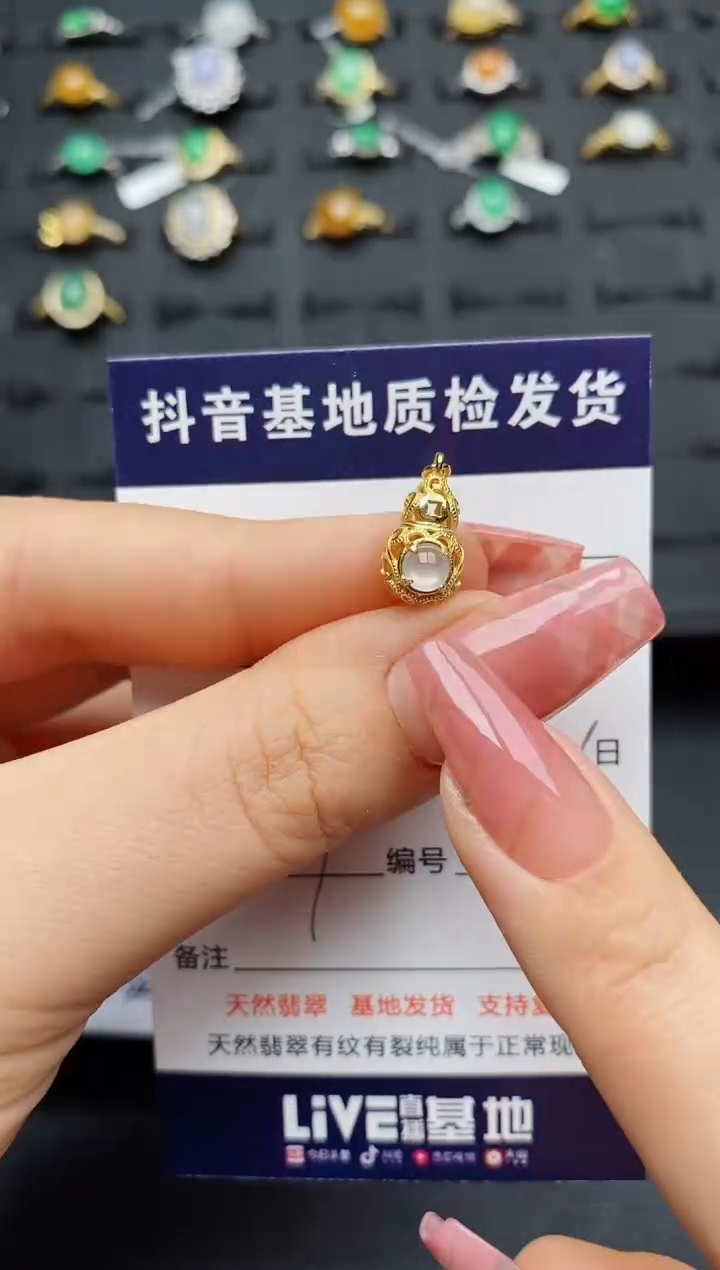 翡翠银S925镶嵌颈饰..........