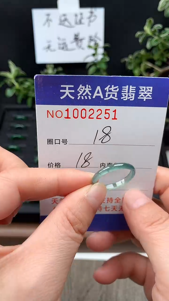 未镶嵌戒指翡翠18#