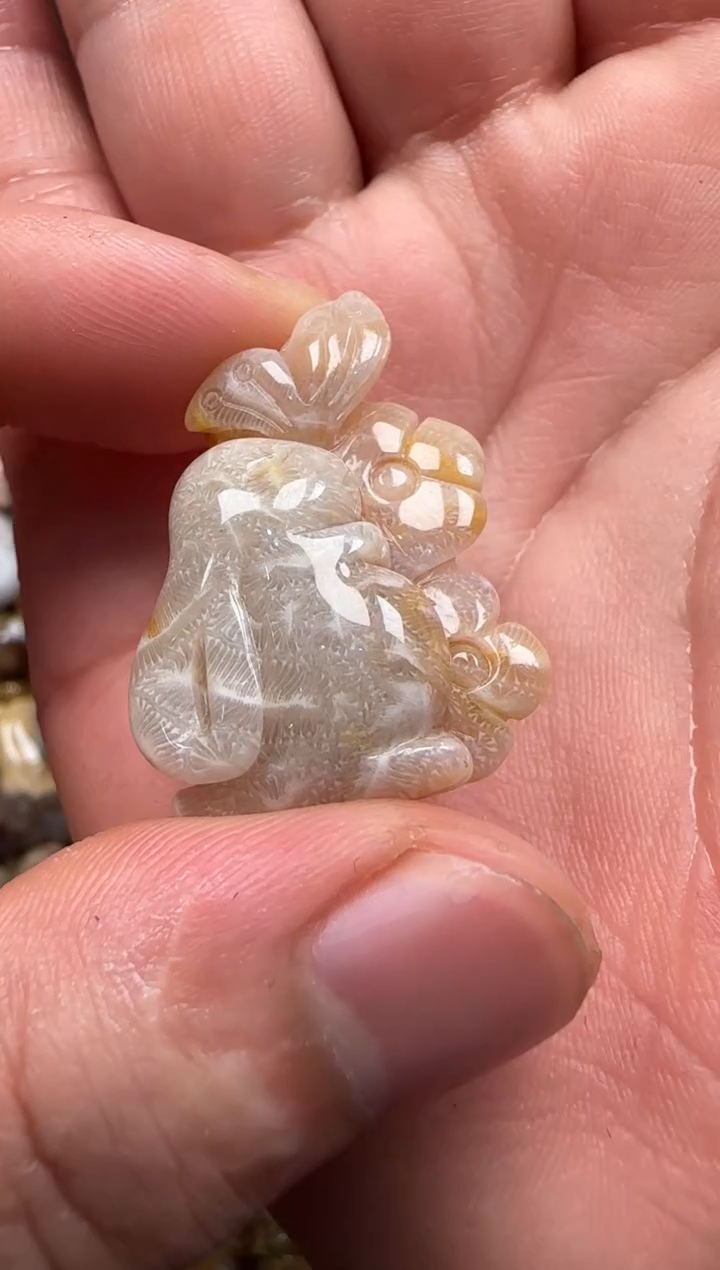 【闪购商品】硅化珊瑚（珊瑚玉）颈饰未镶嵌484