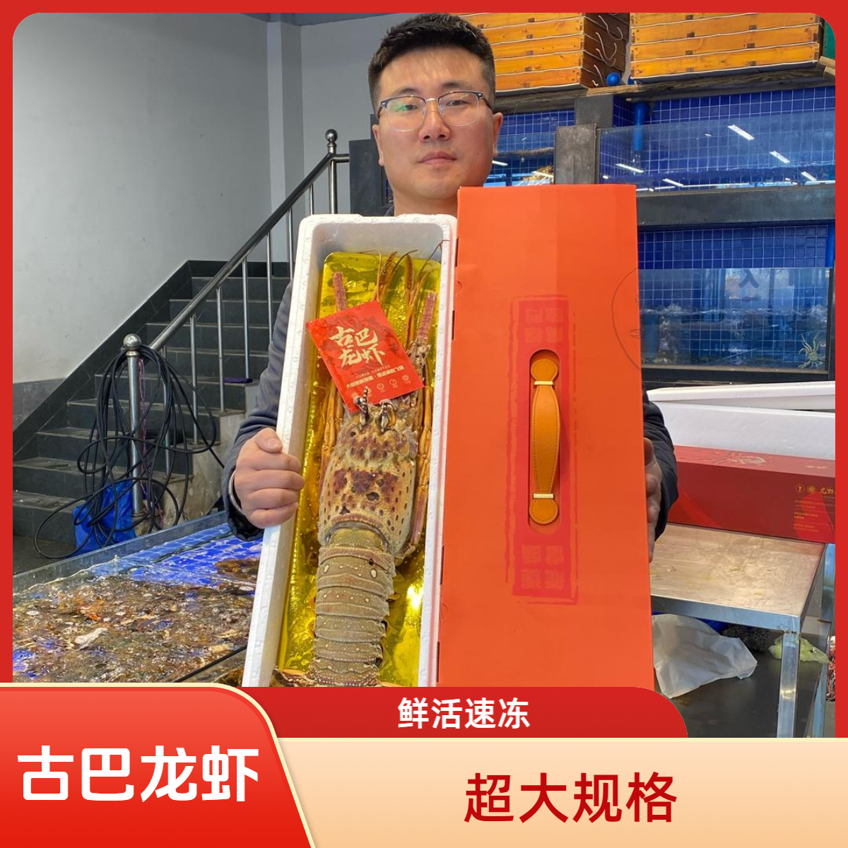 【超大古巴龙虾礼盒】鲜活速冻 送礼佳品 三种规格任选 顺丰发货