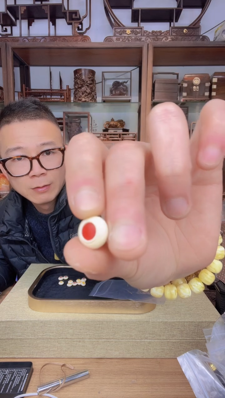 【闪购商品】乌木类书架560猛犸贝云单颗