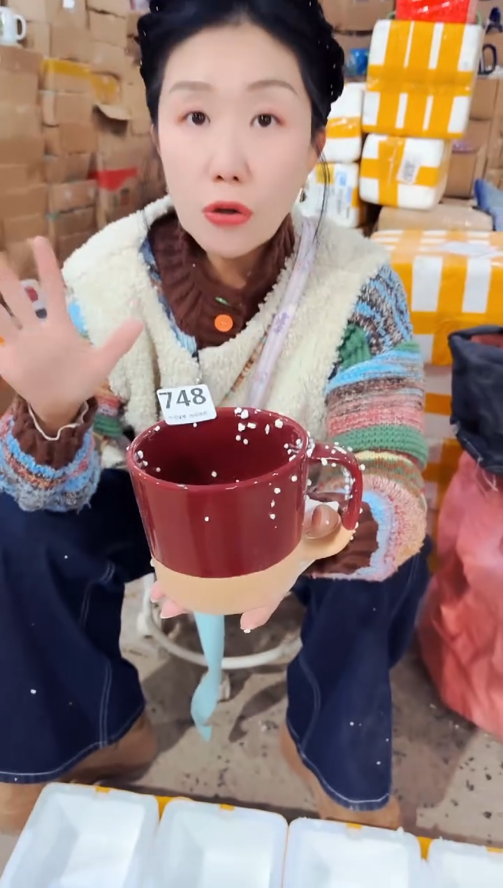 高温炻瓷748【瑕疵款式慎拍】1只装