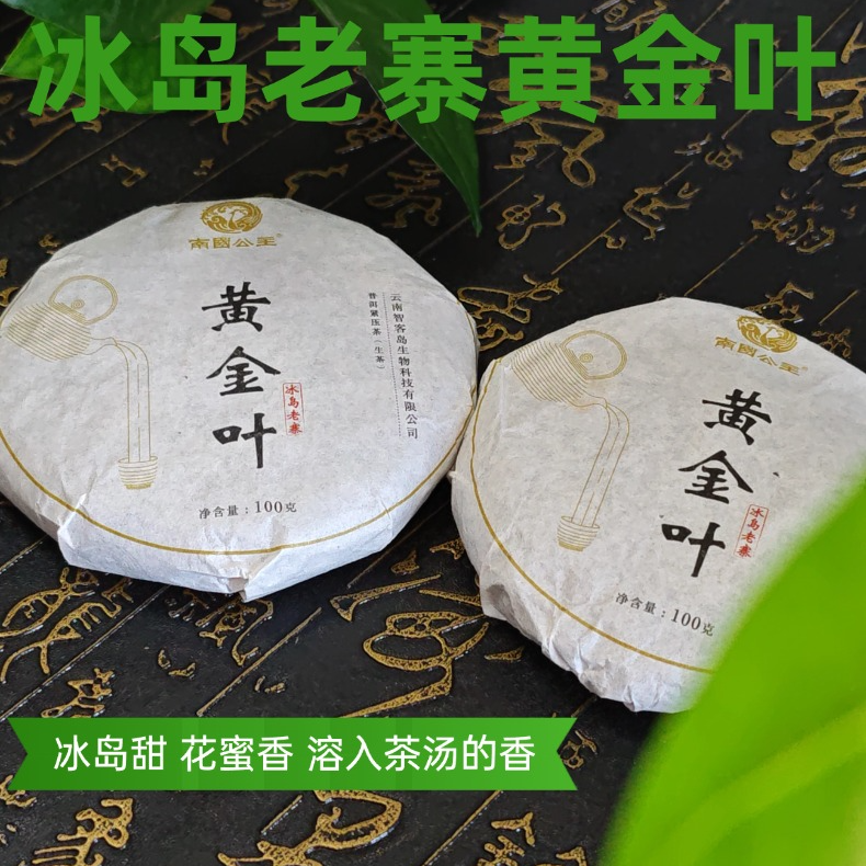 南国公主普洱茶生茶冰岛老寨黄金叶