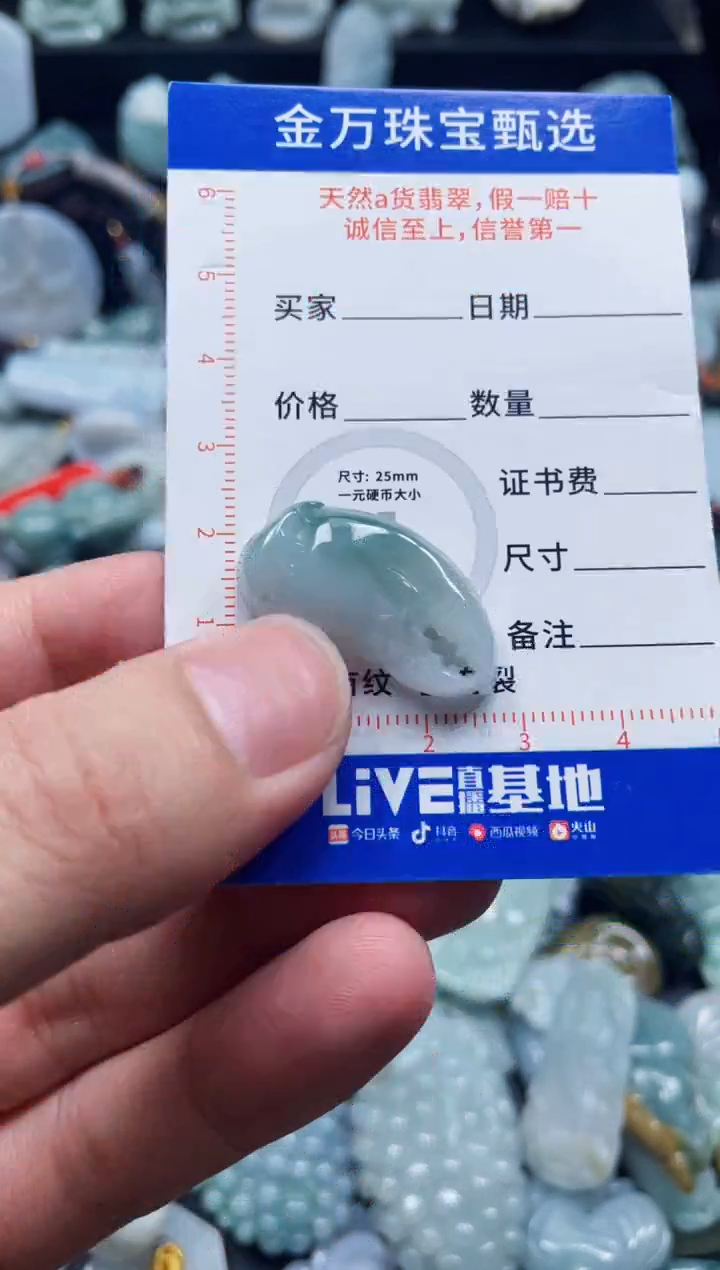 翡翠未镶嵌颈饰天然翡翠a货