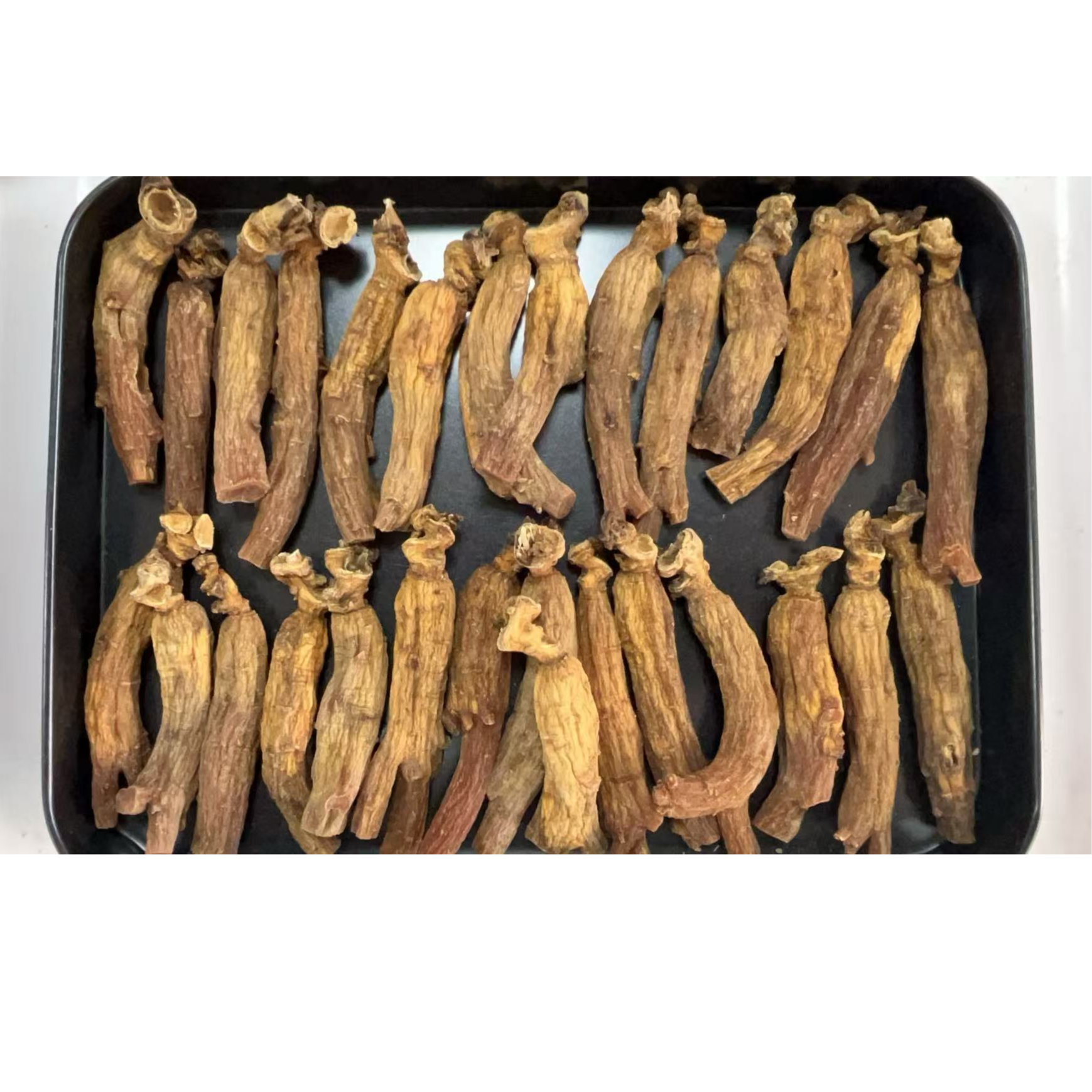 高丽参种子种植在深山老林的一款