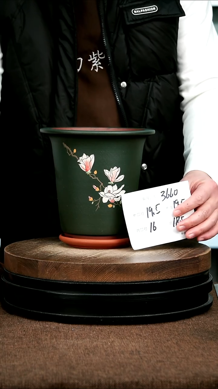 紫砂花盆花卉园艺3660+Z