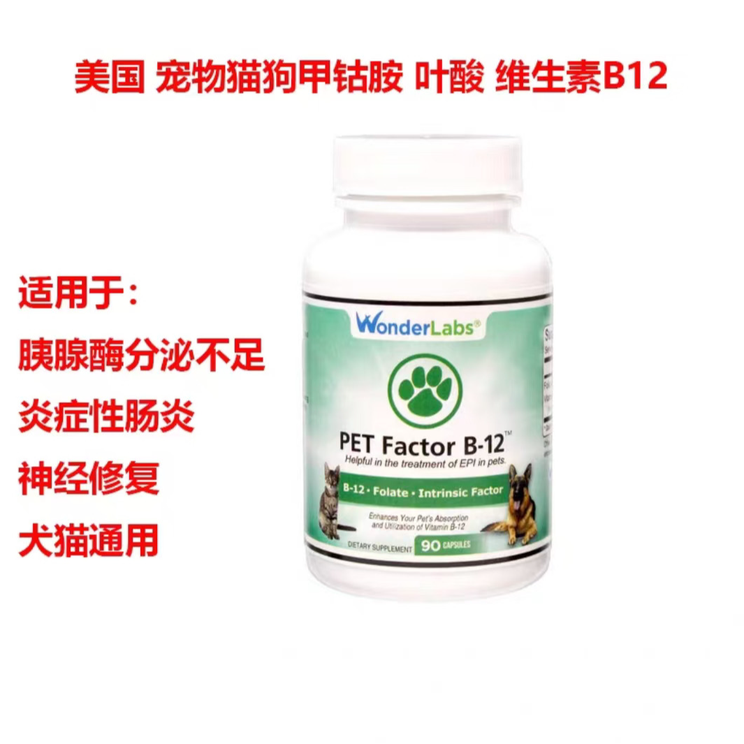 WonderLabs B12 犬猫肠胃调理