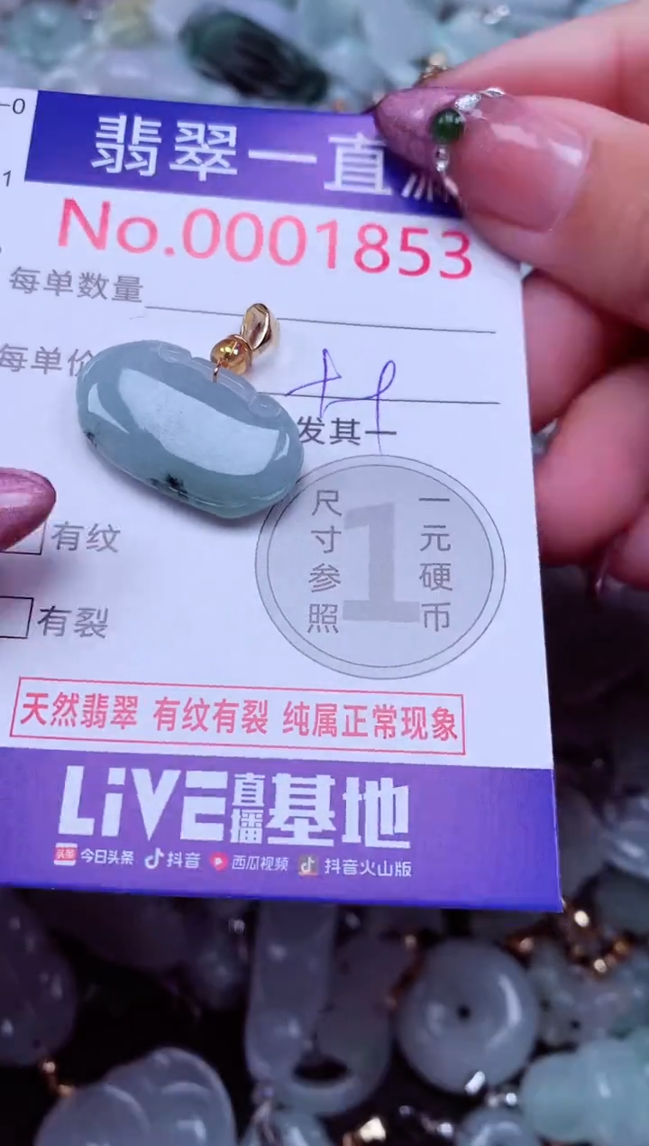 吊坠(不含链)未镶嵌翡翠1853