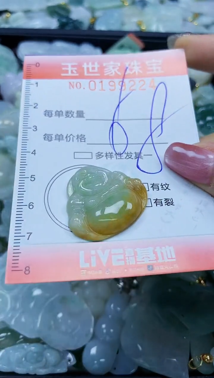 【闪购商品】翡翠颈饰未镶嵌闪购0199224