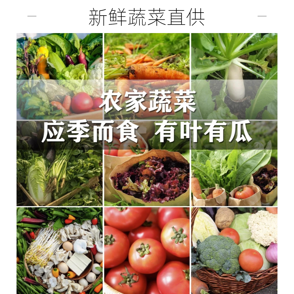 （小正安）贵州乡村赶集手工自制干货（无售后）