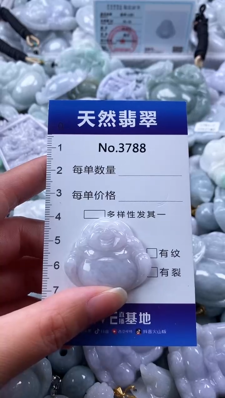 翡翠未镶嵌颈饰缅甸A货翡翠3788