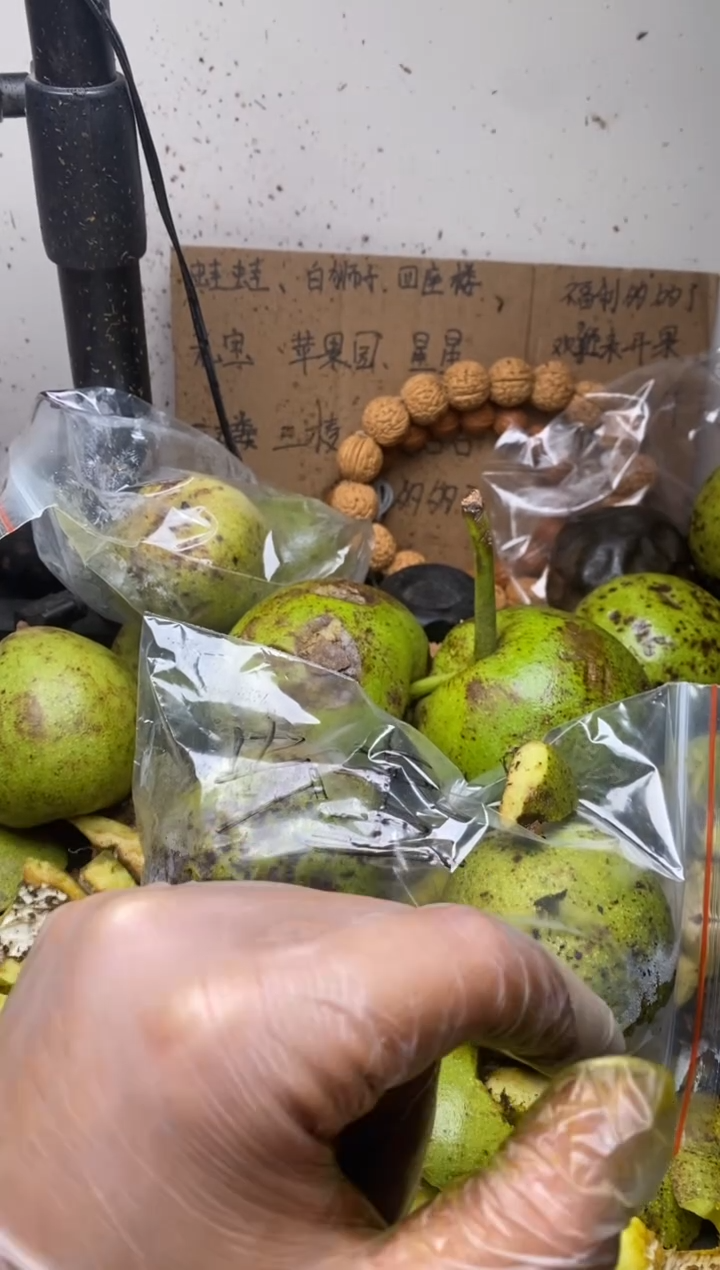 四座楼蛤蟆元宝苹果