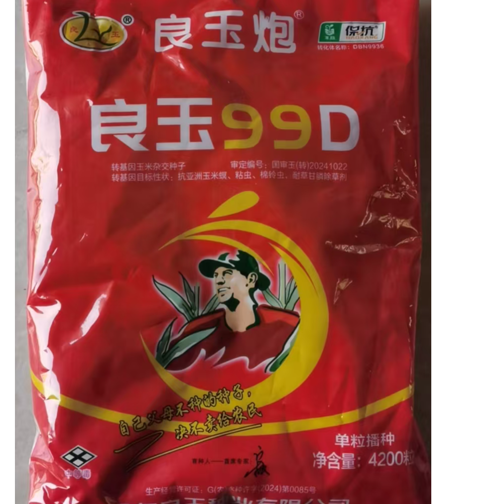 丹东良玉99 D 良玉炮