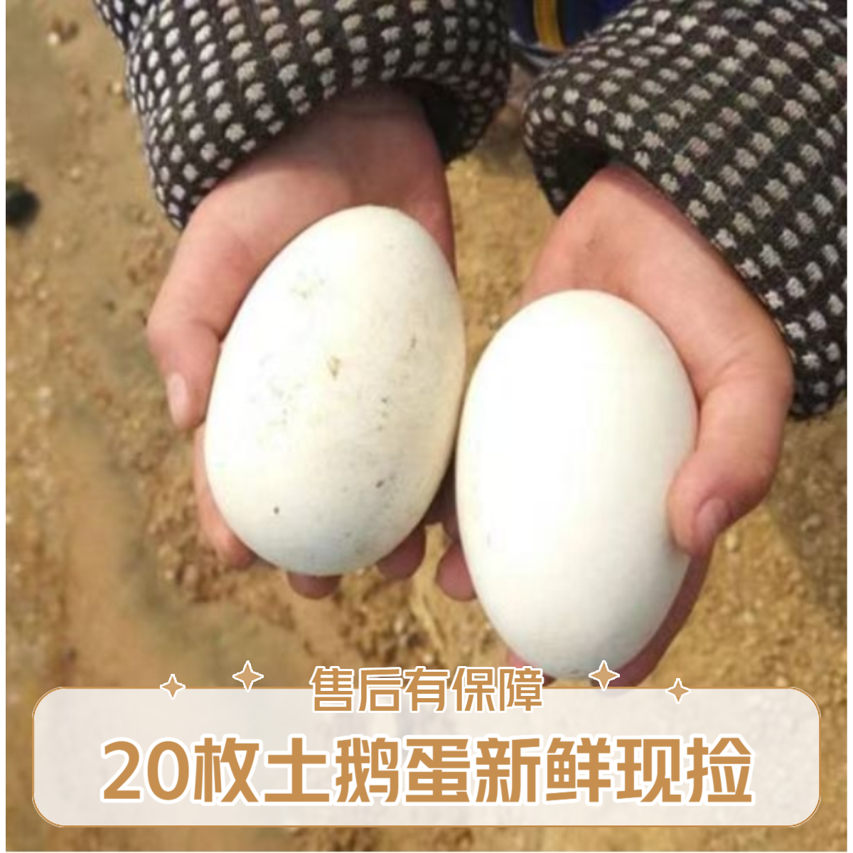 B新鲜农家土鹅蛋拍10枚送10枚到手20枚谷物喂养新鲜现捡破损包赔