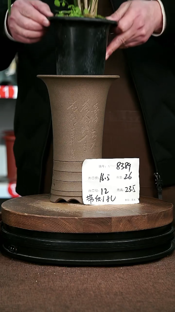 紫砂花盆花卉园艺8389