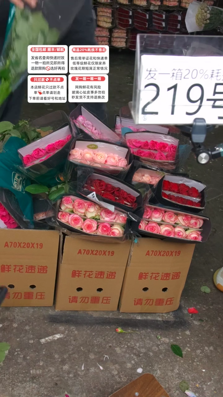 219号♥含20%耗损发一箱