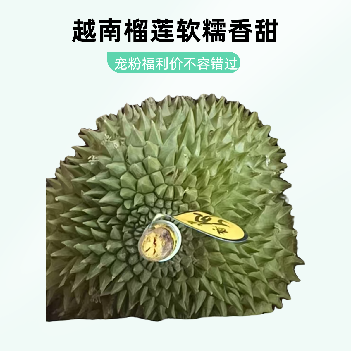 35.8一斤泰国金枕，软糯香甜；劲爆福利，新鲜榴莲，核小肉厚(包不死包；不夹生；不变味)榴莲同城配金枕泰国