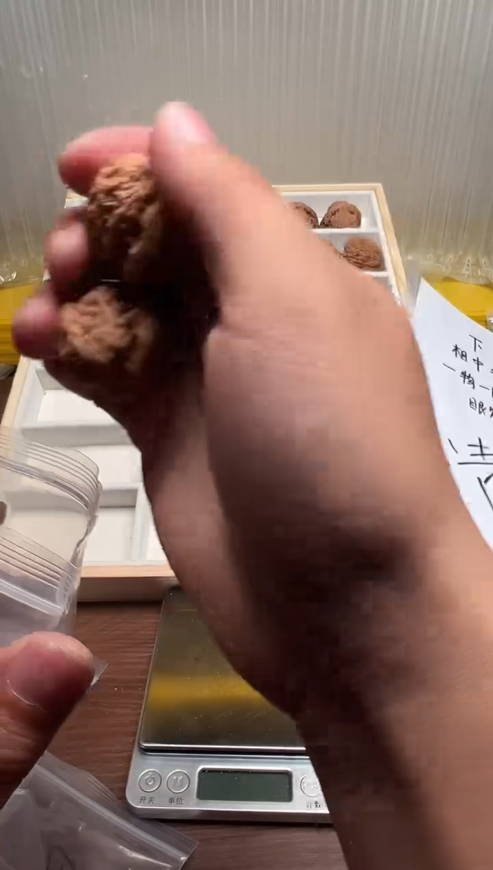 把件文玩核桃徐*宸34白狮子