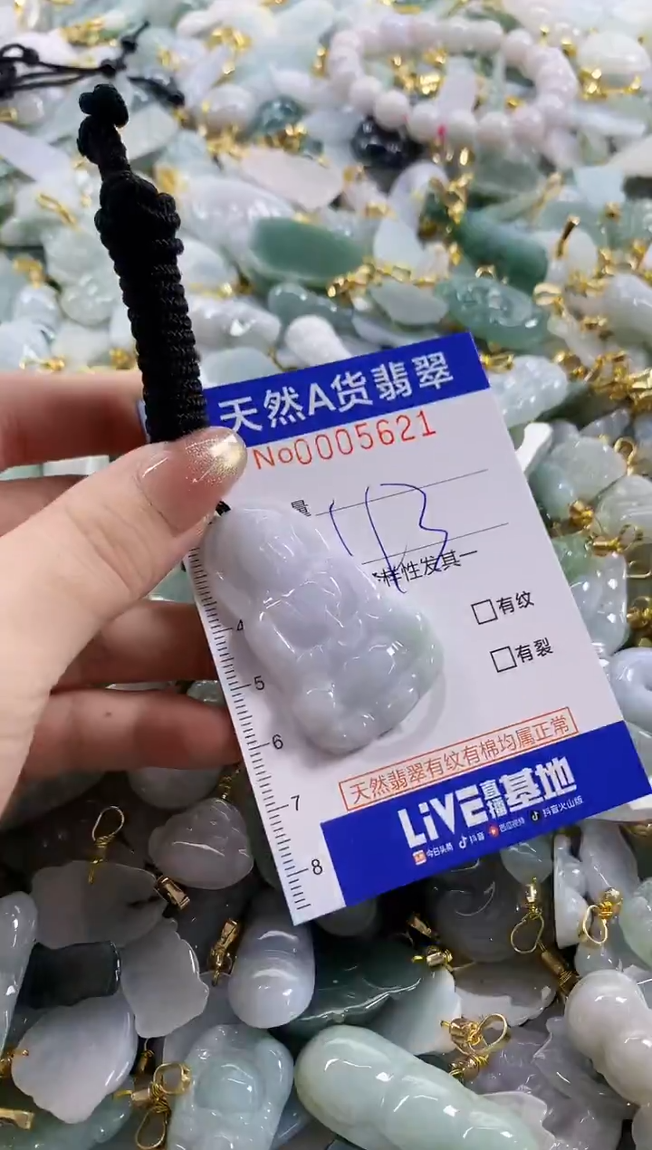 颈饰未镶嵌翡翠天然A货翡翠