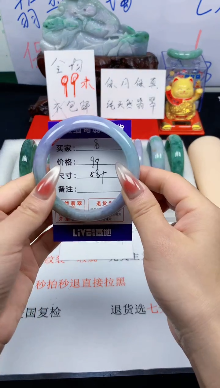 未镶嵌手镯翡翠8
