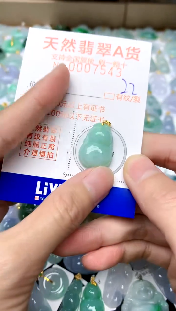 【闪购商品】翡翠颈饰18K金镶嵌22天然A货翡翠