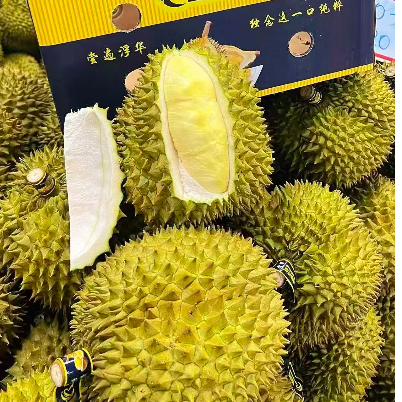 越南金枕核小榴莲金枕越南
