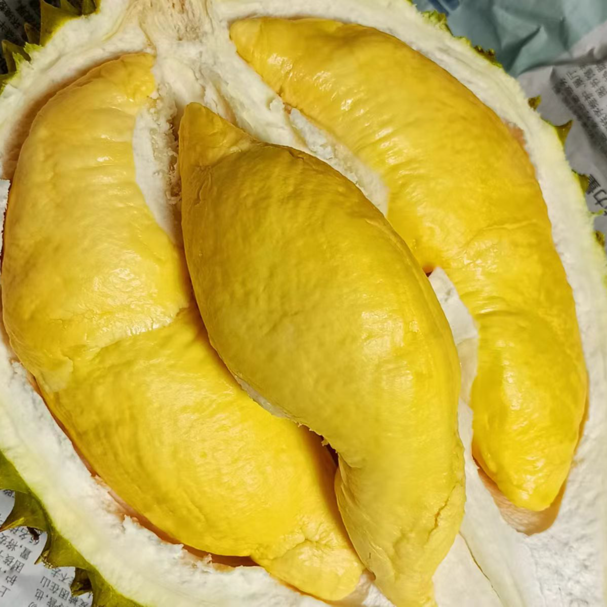 【乘风破浪榴莲】新鲜越南空运干尧榴莲（包30%的出肉率） 核大一果一重 包售后榴莲同城配干尧越南