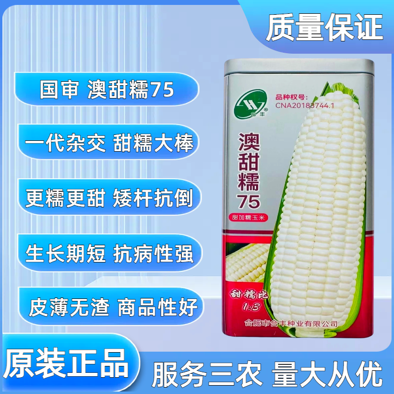 原厂【正品授权】四大区国审白甜糯玉米种子矮杆大棒田园基地种植