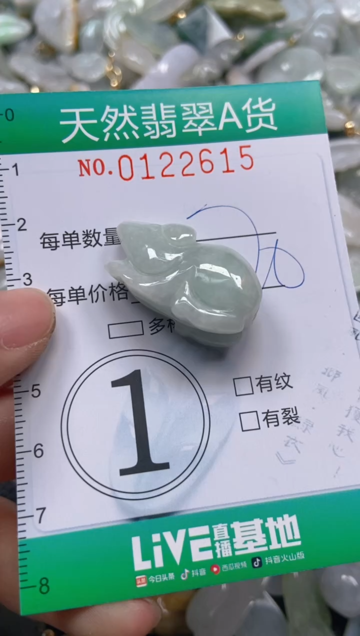 翡翠未镶嵌颈饰闪购0122615