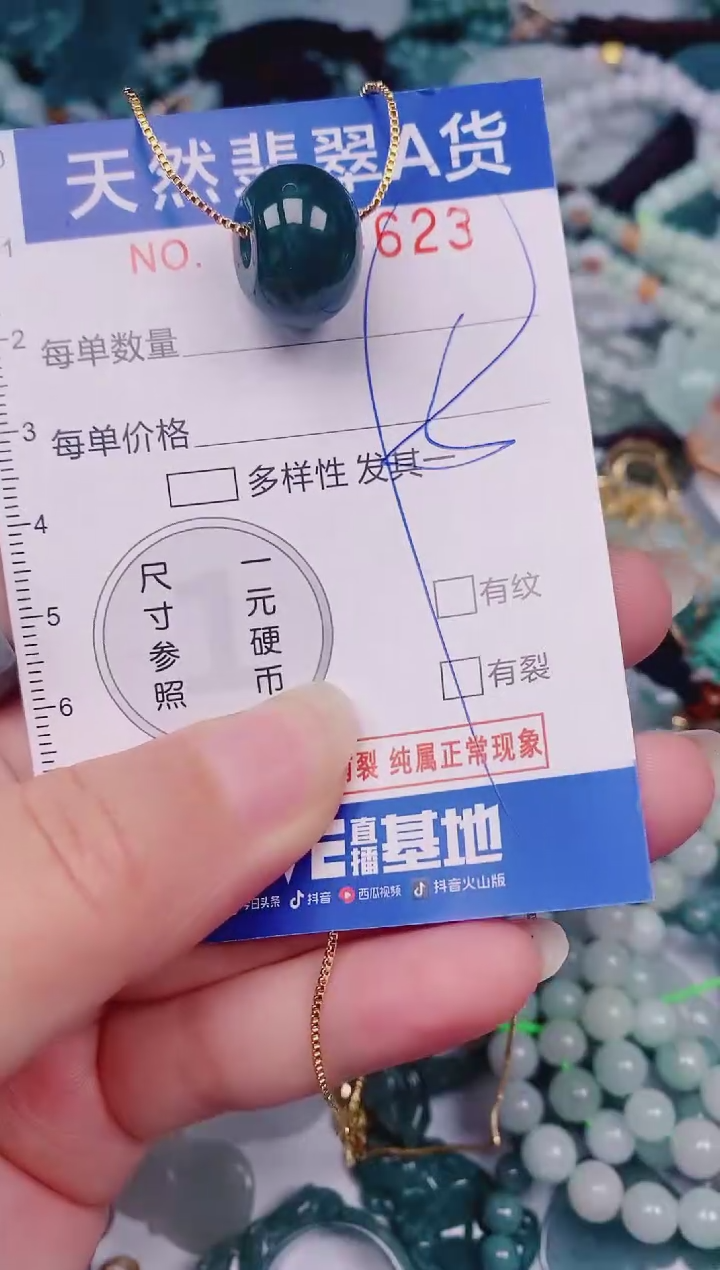 颈饰未镶嵌翡翠00004623