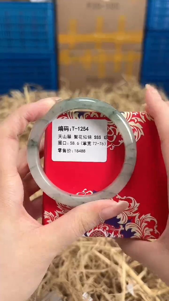 未镶嵌手镯石英质玉T-1254