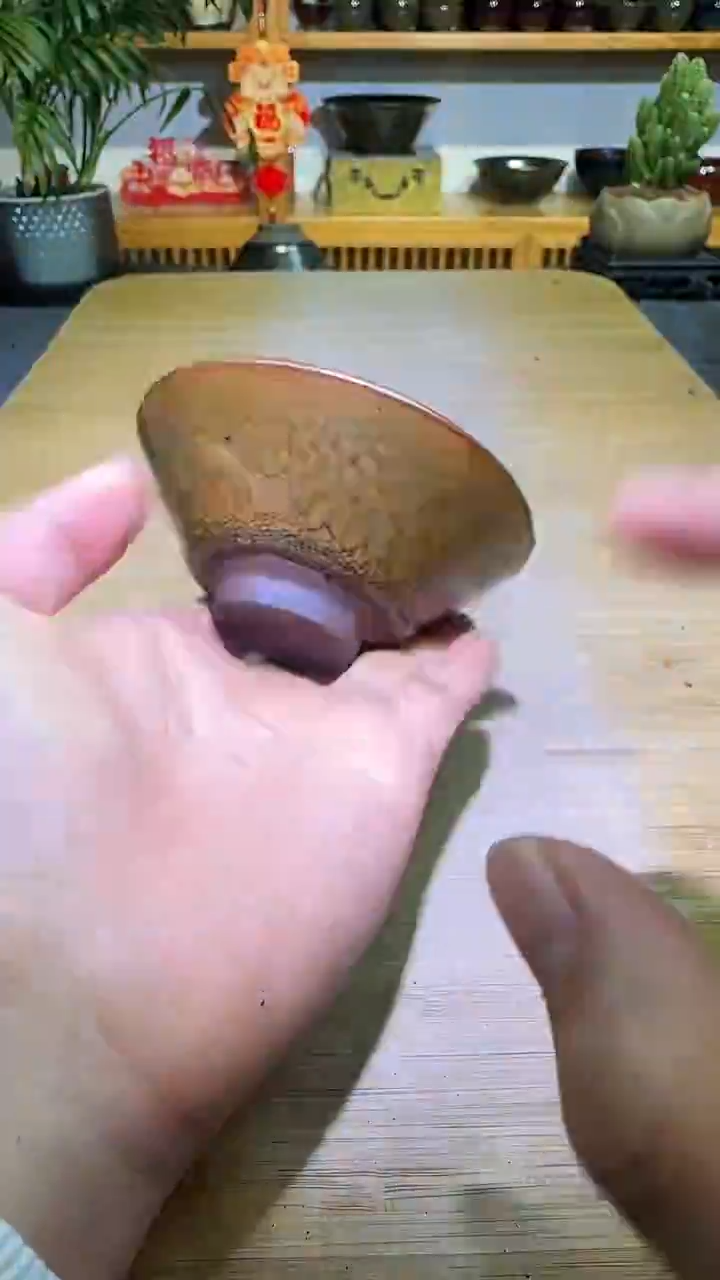 茶盏茶盏8888888888金鹧鸪斗笠