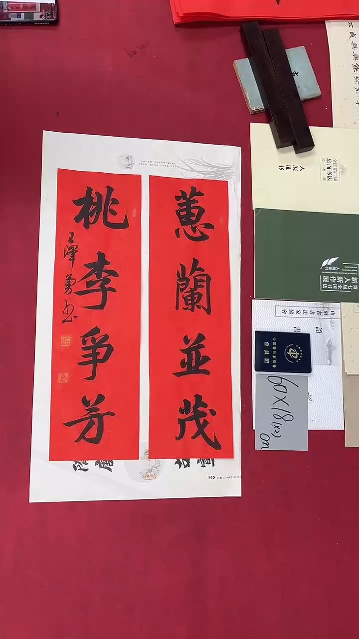 书法王泽勇老师书法作品023