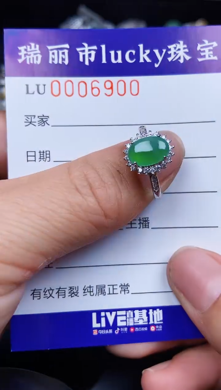 翡翠银S925镶嵌颈饰6900