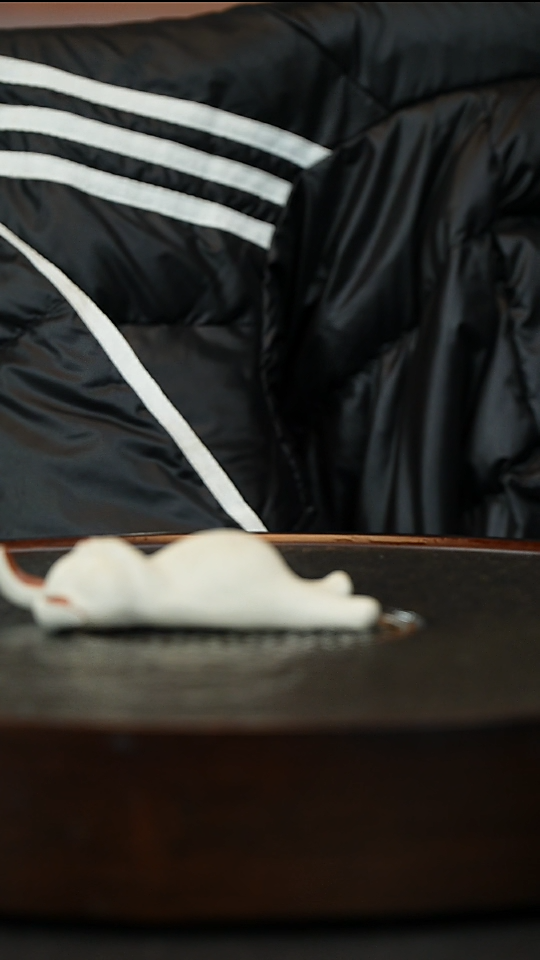 【闪购商品】紫砂茶杯宜兴紫砂主人杯