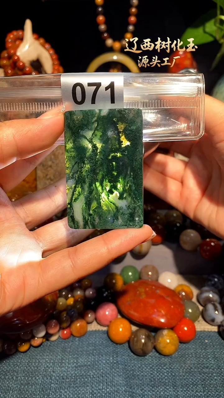 未镶嵌-硅化玉天然北票硅化玉吊坠