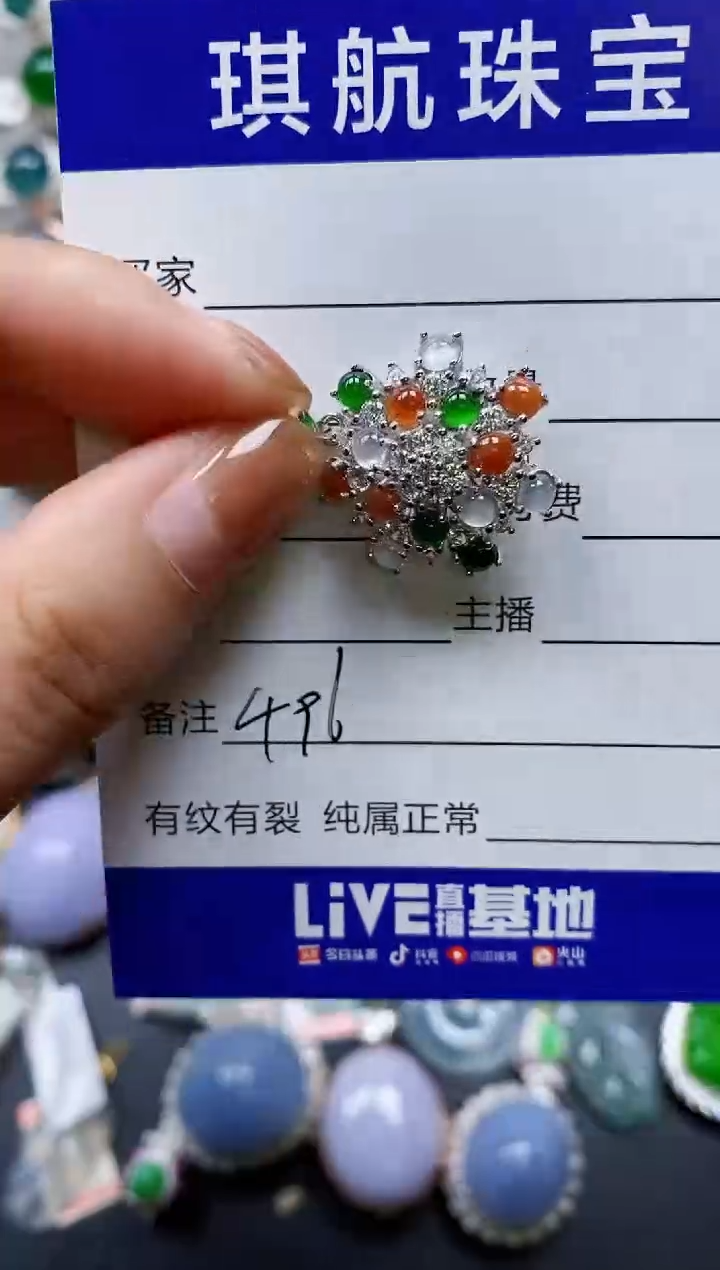 【闪购商品】翡翠颈饰银S925镶嵌0496