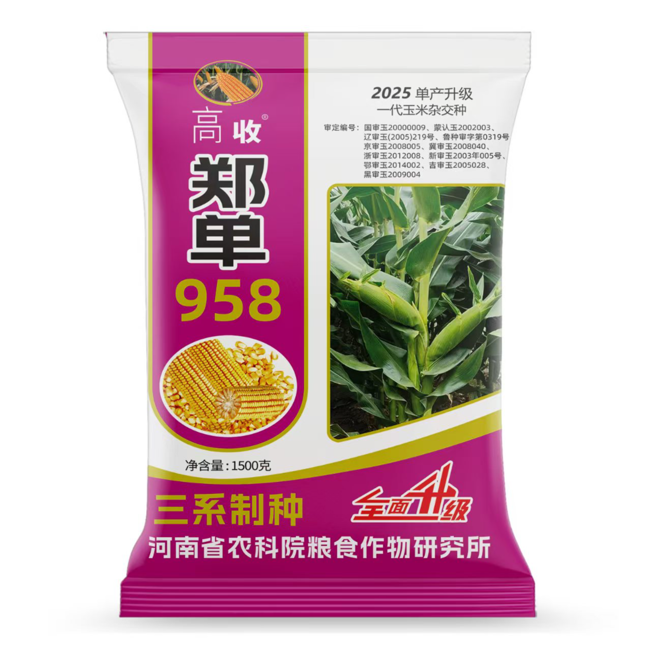 郑单958升级版玉米种子高产国审抗倒抗锈抗病抗旱大棒双胞农科院