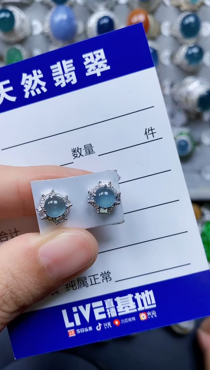 翡翠银S925镶嵌耳饰0463