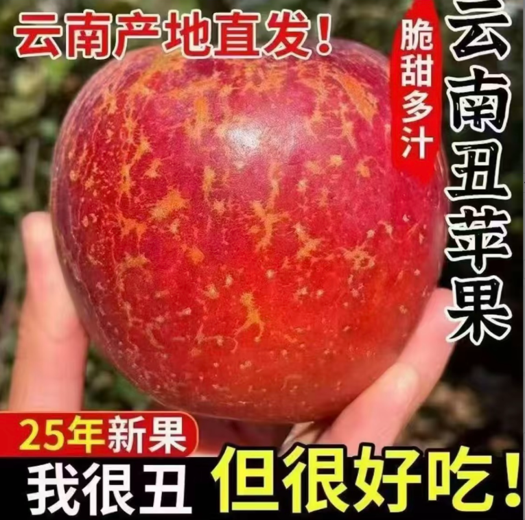 PP2025年云南昭通高原丑苹果当季水果脆甜现摘苹果